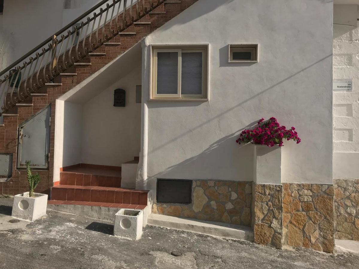 Casa Vacanze Flora Peschici Bagian luar foto